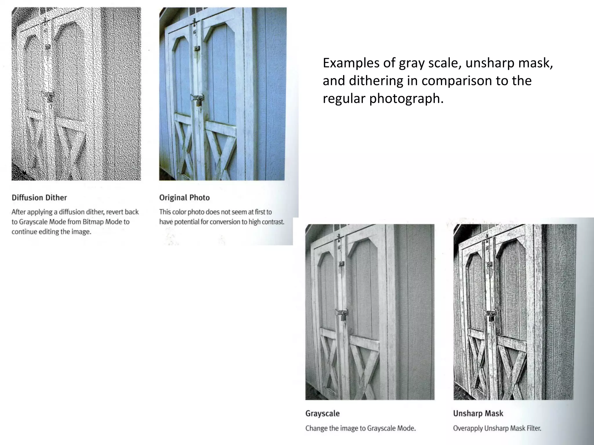 Examples of gray scale, unsharp mask, and dithering in comparison to the regular photograph. 