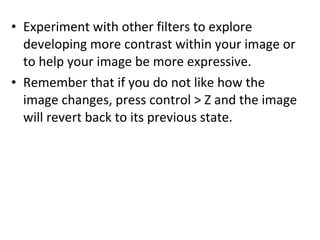 Experiment with other filters to explore developing more contrast within your image or to help your image be more expressive.  Remember that if you do not like how the image changes, press control > Z and the image will revert back to its previous state. 