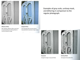 Examples of gray scale, unsharp mask, and dithering in comparison to the regular photograph. 