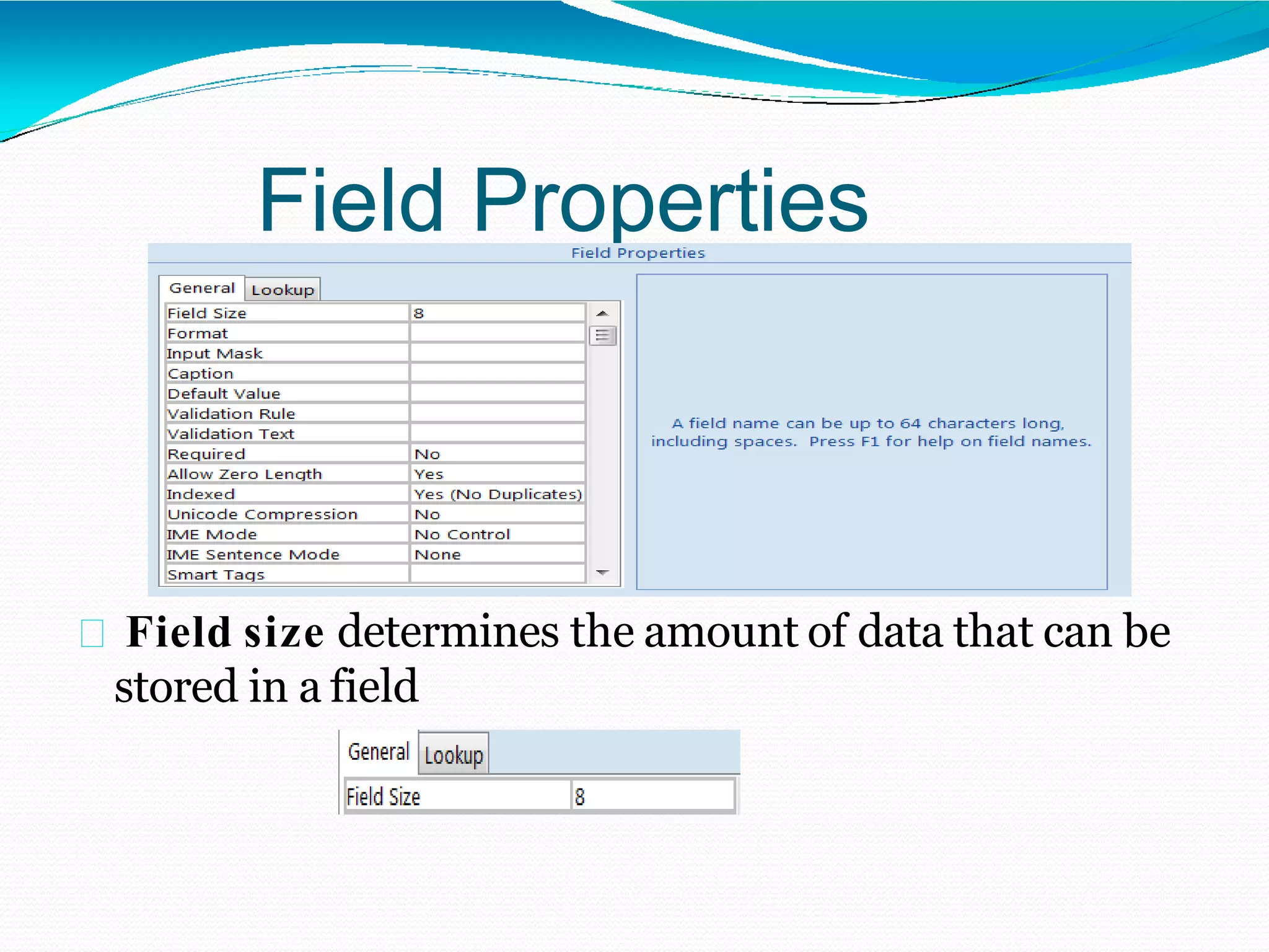 Field Properties
Pane
Field size determines the amount of data that can be
stored in a field
 