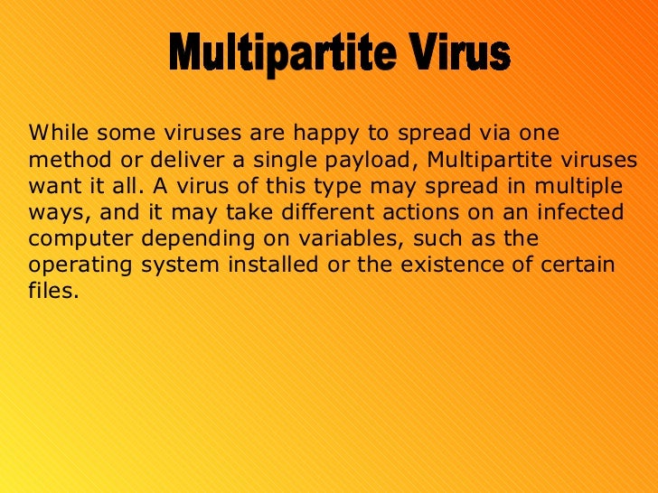 Computer virus