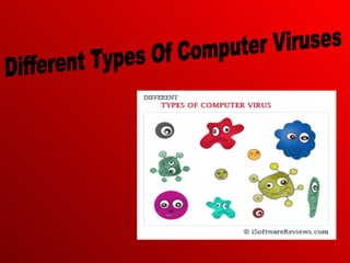 Different Types Of Computer Viruses 