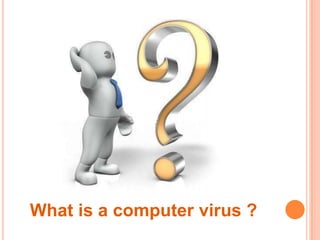 What is a computer virus ?
 