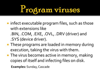 Computer virus | PPTX