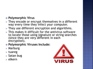 Computer virus | PPTX