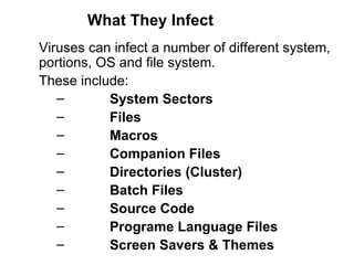 What They Infect Viruses can infect a number of different system,  portions, OS and file system.  These include:   System Sectors   Files    Macros    Companion Files  Directories (Cluster)   Batch Files Source Code   Programe Language Files    Screen Savers & Themes 