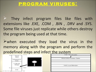 program viruses:

 They infect program files like files with
extensions like .EXE, .COM , .BIN , .DRV and .SYS.
Some file viruses just replicate while others destroy
the program being used at that time.
when executed they load the virus in the
memory along with the program and perform the
predefined steps and infect the system
 