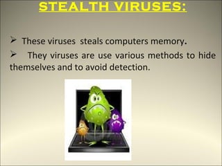 STEALTH VIRUSES:

 These viruses steals computers memory.
 They viruses are use various methods to hide
themselves and to avoid detection.
 