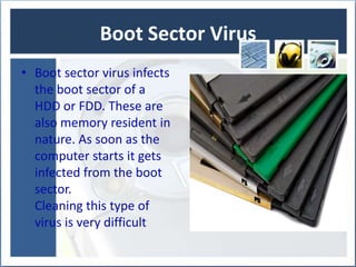 Boot Sector Virus
• Boot sector virus infects
the boot sector of a
HDD or FDD. These are
also memory resident in
nature. As soon as the
computer starts it gets
infected from the boot
sector.
Cleaning this type of
virus is very difficult

 