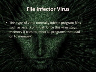 File Infector Virus
• This type of virus normally infects program files
such as .exe, .com, .bat. Once this virus stays in
memory it tries to infect all programs that load
on to memory.

 