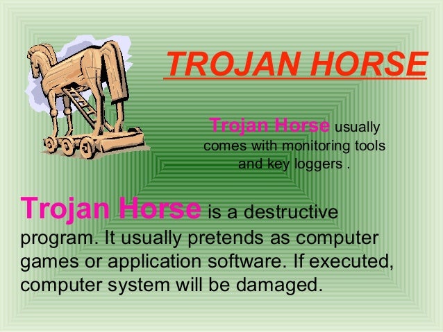 Computer viruses