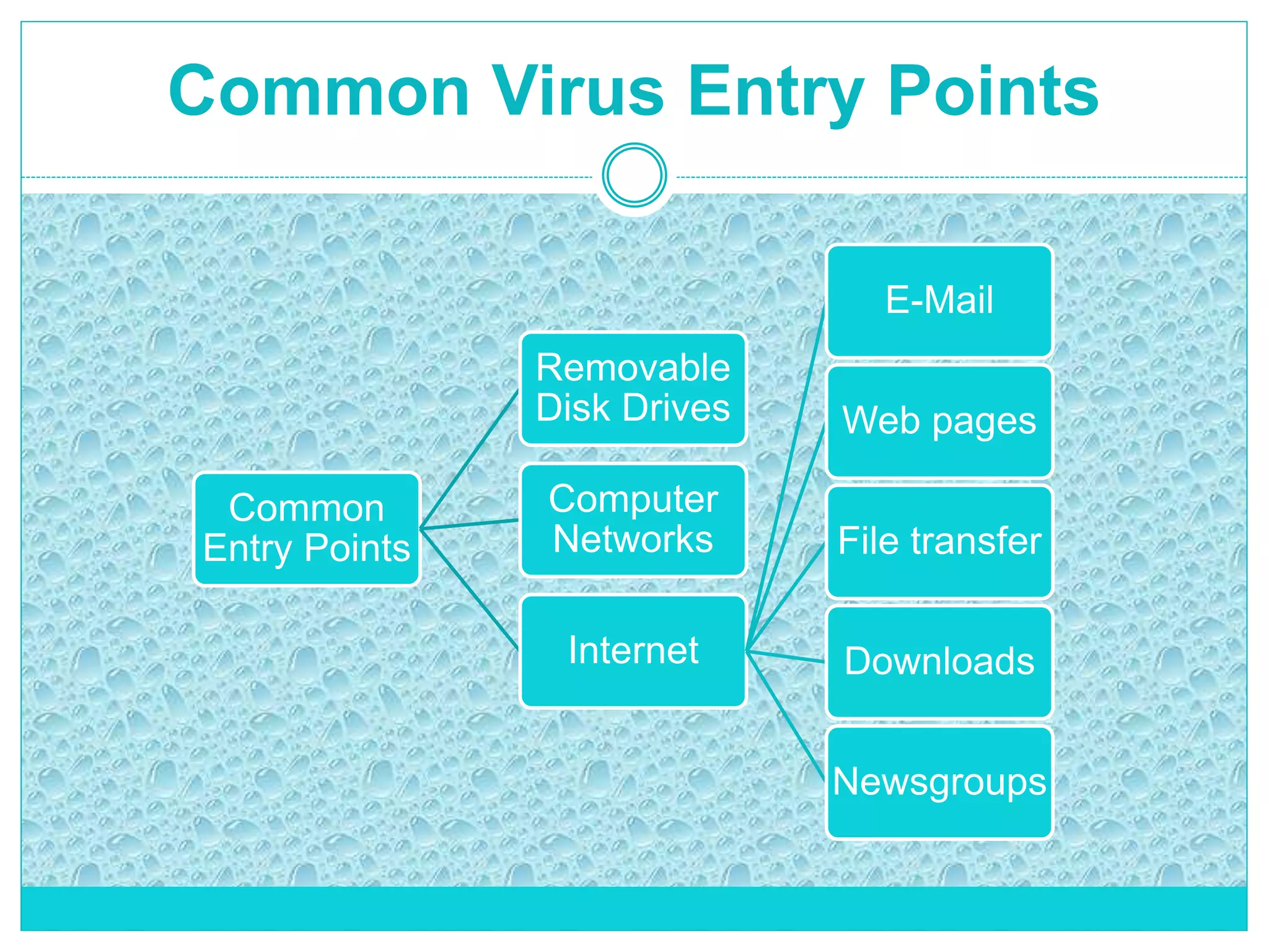 Common Virus Entry Points
Common
Entry Points
Removable
Disk Drives
Internet
E-Mail
Web pages
File transfer
Downloads
Newsgroups
Computer
Networks
 