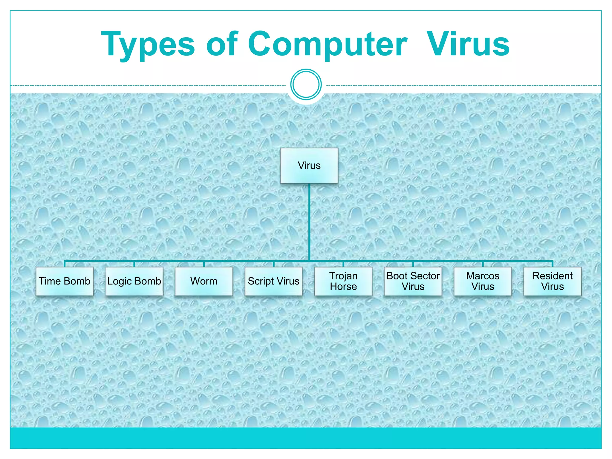 Types of Computer Virus
Virus
Time Bomb Logic Bomb Worm Script Virus
Trojan
Horse
Boot Sector
Virus
Marcos
Virus
Resident
Virus
 
