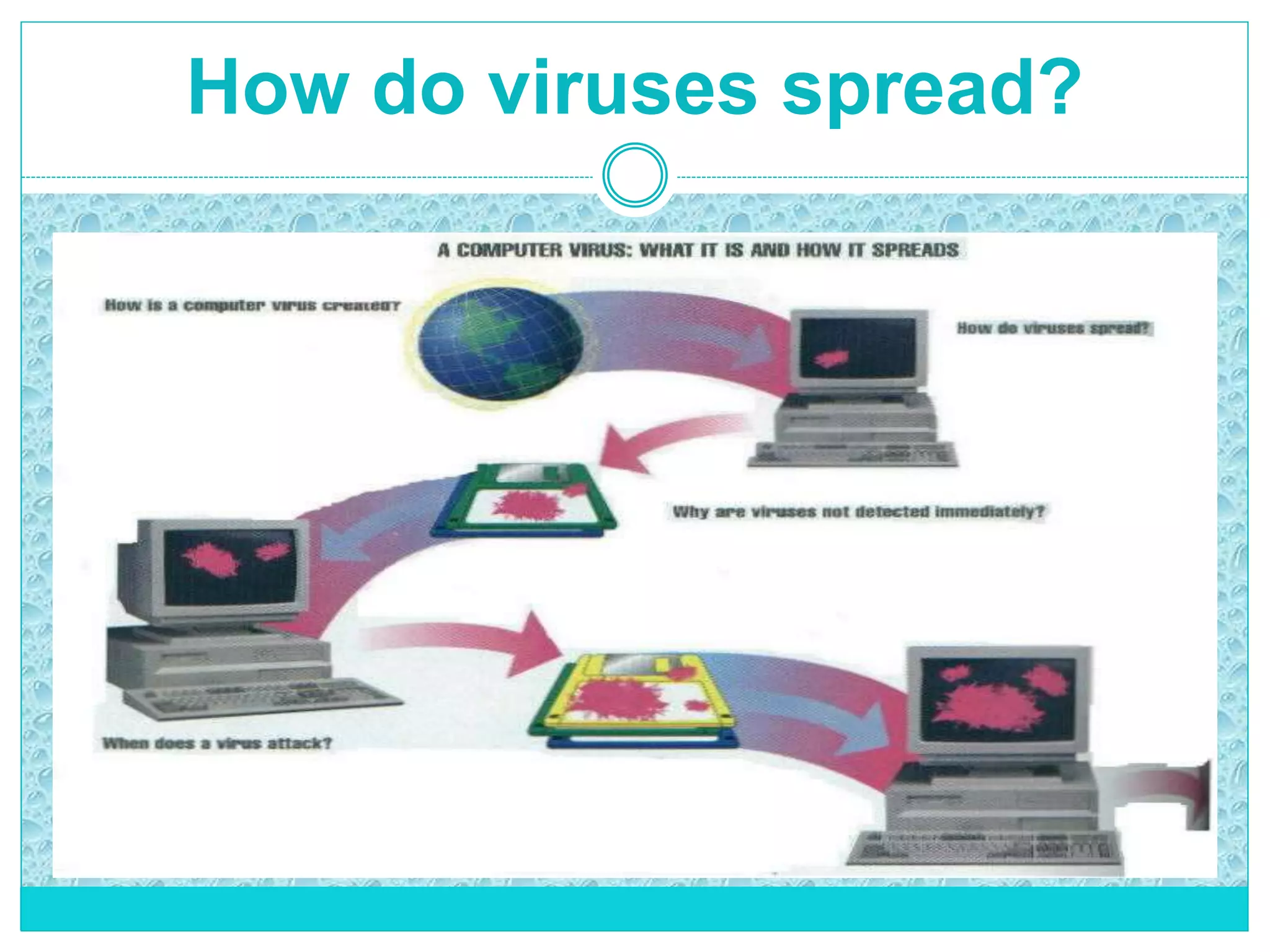 How do viruses spread?
 