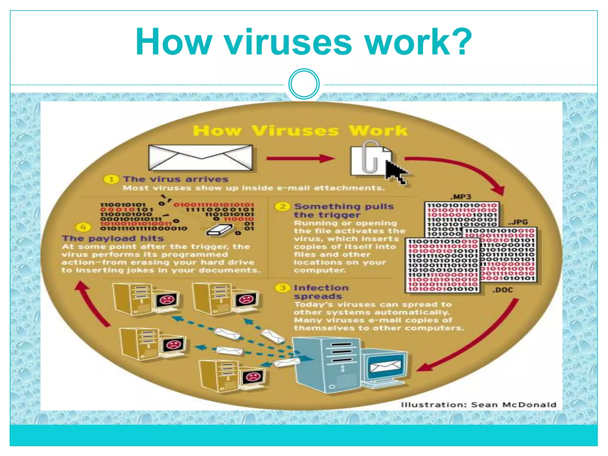 How viruses work?
 