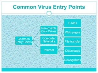 Common Virus Entry Points
Common
Entry Points
Removable
Disk Drives
Internet
E-Mail
Web pages
File transfer
Downloads
Newsgroups
Computer
Networks
 