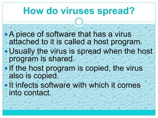 How do viruses spread?
 A piece of software that has a virus
attached to it is called a host program.
 Usually the virus is spread when the host
program is shared.
 If the host program is copied, the virus
also is copied.
 It infects software with which it comes
into contact.
 