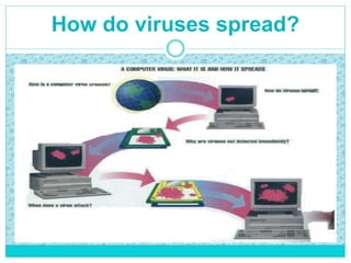 How do viruses spread?
 