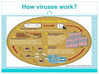 How viruses work?
 