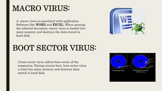 Computer viruses | PPTX