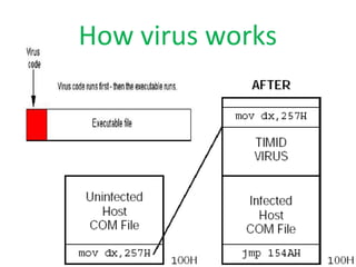 How virus works
 