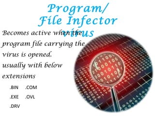 Program/
File Infector
virusBecomes active when the
program file carrying the
virus is opened.
usually with below
extensions
.BIN .COM
.EXE .OVL
.DRV
 