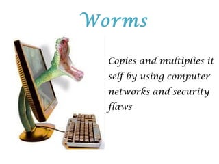 Copies and multiplies it
self by using computer
networks and security
flaws
Worms
 