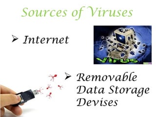 Sources of Viruses
 Removable
Data Storage
Devises
 Internet
 