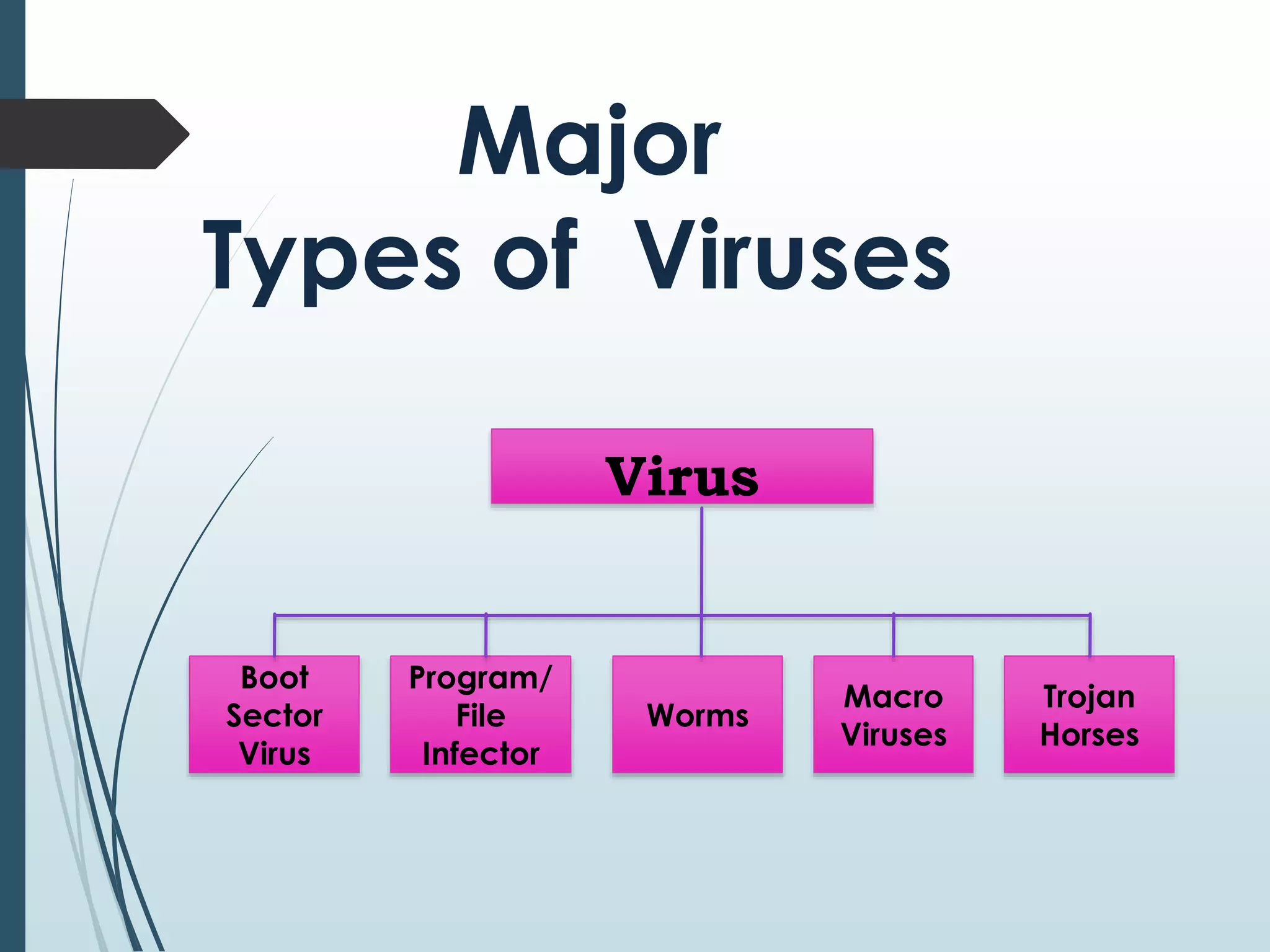 Major 
Types of Viruses 
Virus 
Boot 
Sector 
Virus 
Program/ 
File 
Infector 
Worms 
Macro 
Viruses 
Trojan 
Horses 
 