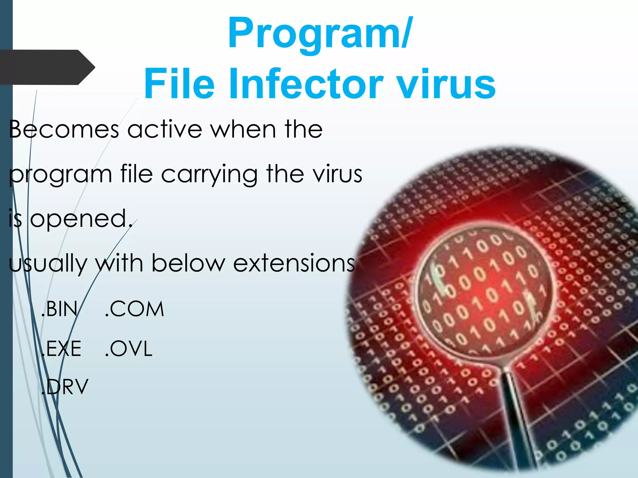 Program/ 
File Infector virus 
Becomes active when the 
program file carrying the virus 
is opened. 
usually with below extensions 
.BIN .COM 
.EXE .OVL 
.DRV 
 
