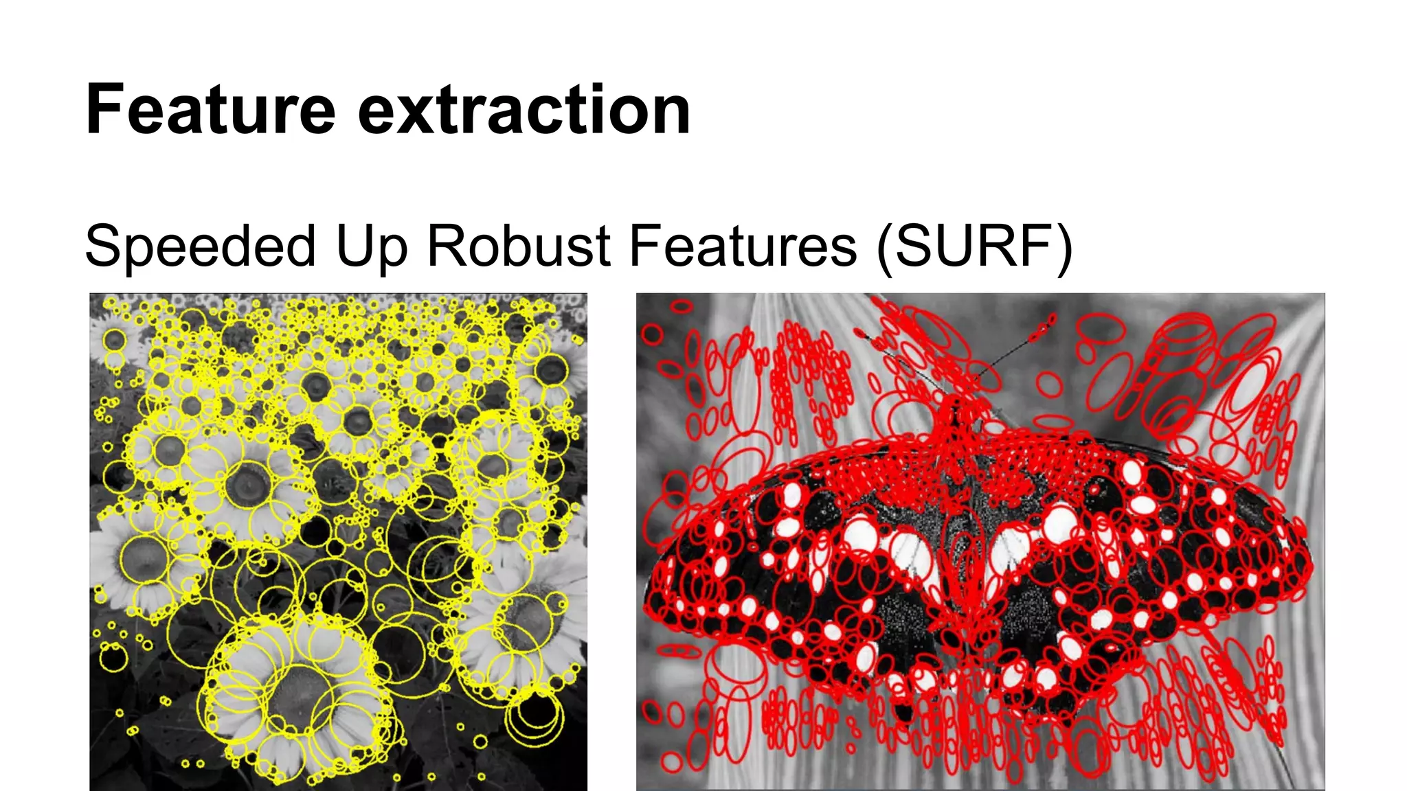 Feature extraction 
Speeded Up Robust Features (SURF) 
 