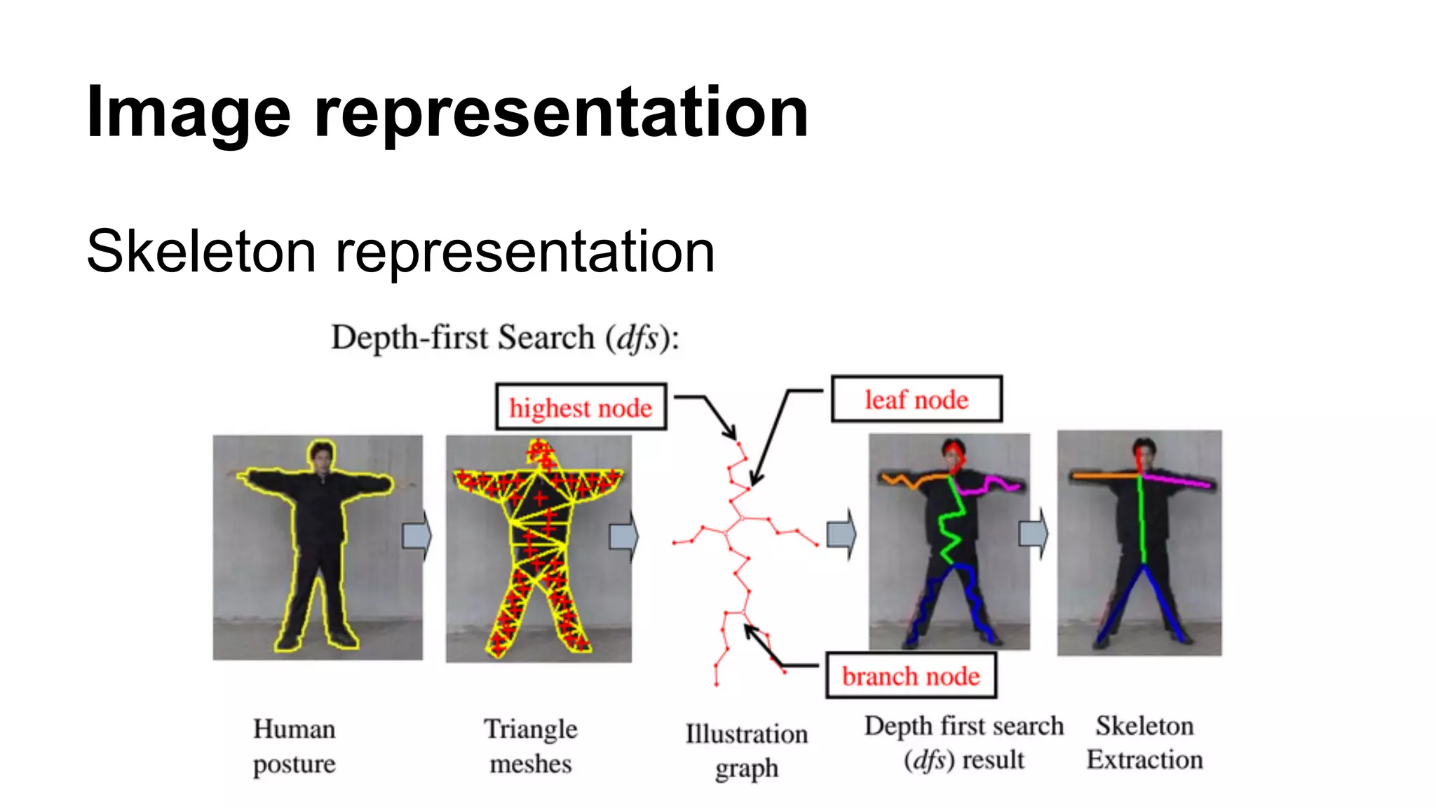 Image representation 
Skeleton representation 
 