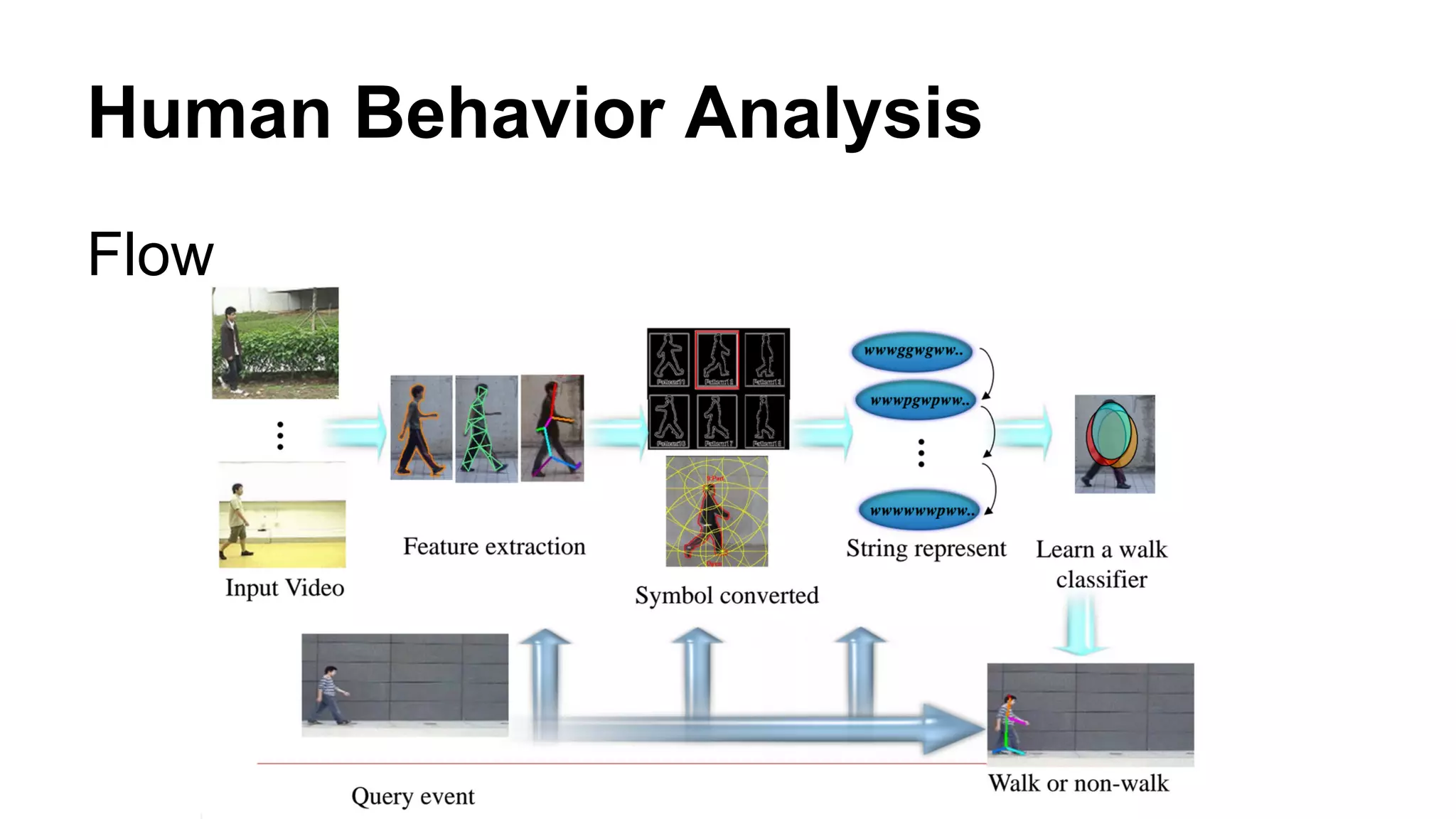 Human Behavior Analysis 
Flow 
 