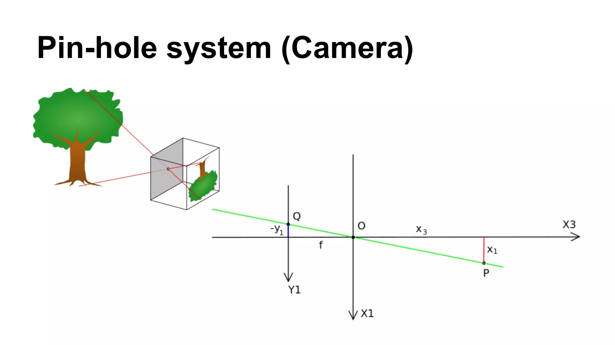 Pin-hole system (Camera) 
 