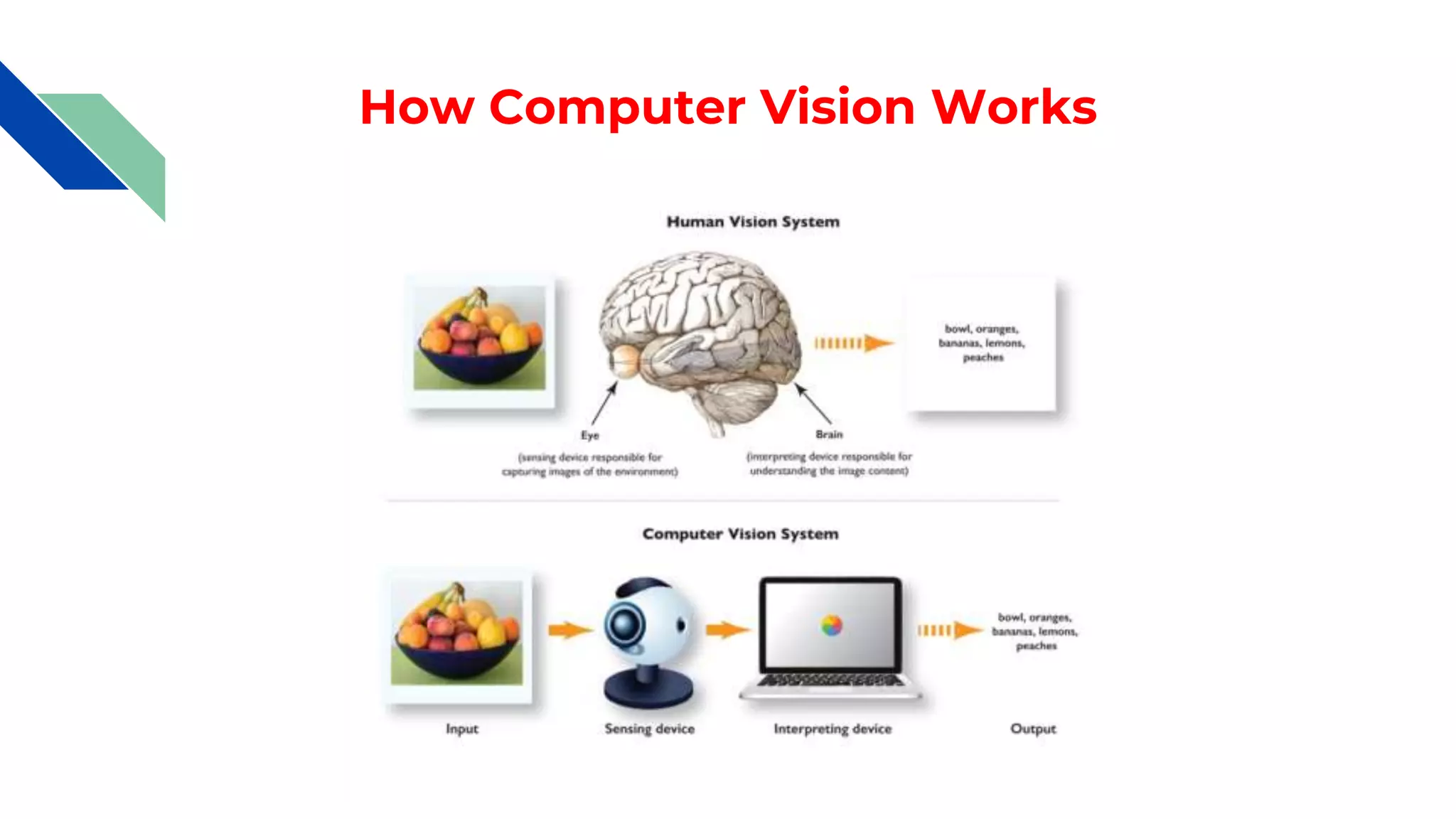 How Computer Vision Works
 