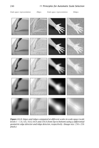 246                             11 Principles for Automatic Scale Selection

Scale-space representation   Edges      Scale-space representation   Ridges




Figure 11.3: Edges and ridges computed at diﬀerent scales in scale-space (scale
levels t = 1.0, 4.0, 16.0, 64.0 and 256.0 from top to bottom) using a diﬀerential
geometric edge detector and ridge detector, respectively. (Image size: 256 × 256
pixels.)
 