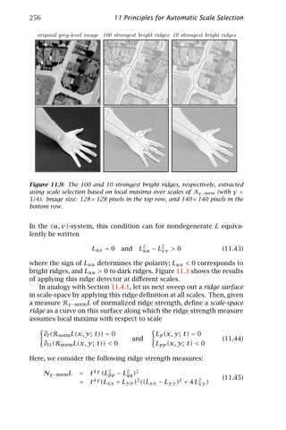 256                             11 Principles for Automatic Scale Selection

  original grey-level image 100 strongest bright ridges 10 strongest bright ridges




Figure 11.9: The 100 and 10 strongest bright ridges, respectively, extracted
using scale selection based on local maxima over scales of Aγ −norm (with γ =
3/4). Image size: 128 × 128 pixels in the top row, and 140 × 140 pixels in the
bottom row.


In the (u, v)-system, this condition can for nondegenerate L equiva-
lently be written

                       Luv = 0     and    L 2 − L2 > 0
                                            uu   vv                         (11.43)

where the sign of Luu determines the polarity; Luu < 0 corresponds to
bright ridges, and Luu > 0 to dark ridges. Figure 11.3 shows the results
of applying this ridge detector at diﬀerent scales.
    In analogy with Section 11.4.1, let us next sweep out a ridge surface
in scale-space by applying this ridge deﬁnition at all scales. Then, given
a measure Rγ −norm L of normalized ridge strength, deﬁne a scale-space
ridge as a curve on this surface along which the ridge strength measure
assumes local maxima with respect to scale

      ∂t (Rnorm L(x, y; t)) = 0                  Lp (x, y; t) = 0
                                        and                                 (11.44)
      ∂tt (Rnorm L(x, y; t)) < 0                 Lpp (x, y; t) < 0

Here, we consider the following ridge strength measures:

      Nγ −norm L   =   t 4 γ (L2 − L2 )2
                               pp    qq
                                                                            (11.45)
                   =   t 4 γ (Lxx + Lyy )2 ((Lxx − Lyy )2 + 4 L2 )
                                                               xy
 