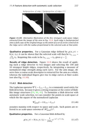 11.4 Feature detection with automatic scale selection                          257

                   backprojection of ridge 1 backprojection of ridges 2–5




Figure 11.10: Alternative illustration of the ﬁve strongest scale-space ridges
extracted from the image of the arm in Fig. 11.9. Each ridge is backprojected
onto a dark copy of the original image as the union of a set of circles centered on
the ridge curve with the radius proportional to the selected scale at that point.


Qualitative properties. For a Gaussian ridge deﬁned by g(x, y) =
h(x; t0 ), it can be shown that the selected scale will then be tRγ −norm =
 2γ
3− 2 γ   t0 . Requiring this scale to be tRγ −norm = t0 , gives γ = 3 .
                                                                    4

Results of ridge detection. Figure 11.9 shows the result of apply-
ing such a ridge detector to two images and selecting the 100 and
10 strongest bright ridges, respectively, by integrating a measure of
normalized ridge strength along each curve. For the arm image, ob-
serve how a coarse-scale descriptor is extracted for the arm as a whole,
whereas the individual ﬁngers give rise to ridge curves at ﬁner scales
(see also Fig. 11.10).

11.4.3 Blob detection

The Laplacian operator 2 L = Lxx + Lyy is a commonly used entity for
blob detection, because it gives a strong response at the center of blob-
like image structures [39, 40, 41]. To formulate a blob detector with
automatic scale selection, we can consider the points in scale-space at
which the the square of the normalized Laplacian
                                 2
                                 norm L   = t(Lxx + Lyy )                   (11.46)

assumes maxima with respect to space and scale. Such points are re-
ferred to as scale-space extrema of ( 2      2
                                      norm L) .

Qualitative properties. For a Gaussian blob deﬁned by

                                                   1        2  2
                   g(x, y) = h(x, y; t0 ) =             e−(x +y )/2t0       (11.47)
                                                  2π t0
 