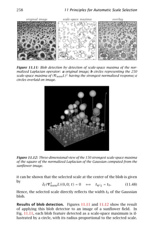 258                           11 Principles for Automatic Scale Selection

      original image         scale-space maxima             overlay




Figure 11.11: Blob detection by detection of scale-space maxima of the nor-
malized Laplacian operator: a original image; b circles representing the 250
scale-space maxima of ( norm L)2 having the strongest normalized response; c
circles overlaid on image.




Figure 11.12: Three-dimensional view of the 150 strongest scale-space maxima
of the square of the normalized Laplacian of the Gaussian computed from the
sunﬂower image.


it can be shown that the selected scale at the center of the blob is given
by
               ∂t ( 2
                    norm L)(0, 0; t) = 0  ⇐ ⇒ t 2 L = t0 .         (11.48)

Hence, the selected scale directly reﬂects the width t0 of the Gaussian
blob.

Results of blob detection. Figures 11.11 and 11.12 show the result
of applying this blob detector to an image of a sunﬂower ﬁeld. In
Fig. 11.11, each blob feature detected as a scale-space maximum is il-
lustrated by a circle, with its radius proportional to the selected scale.
 