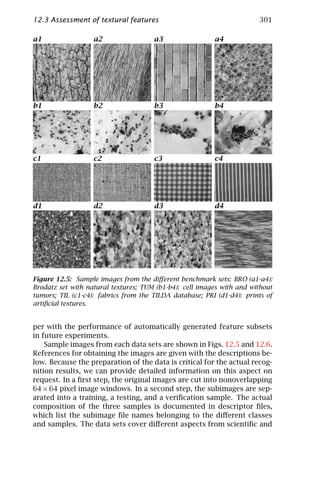 12.3 Assessment of textural features                                   301

a1                 a2                 a3                 a4




b1                 b2                 b3                 b4




c1                 c2                 c3                 c4




d1                 d2                 d3                 d4




Figure 12.5: Sample images from the diﬀerent benchmark sets: BRO (a1-a4):
Brodatz set with natural textures; TUM (b1-b4): cell images with and without
tumors; TIL (c1-c4): fabrics from the TILDA database; PRI (d1-d4): prints of
artiﬁcial textures.


per with the performance of automatically generated feature subsets
in future experiments.
    Sample images from each data sets are shown in Figs. 12.5 and 12.6.
References for obtaining the images are given with the descriptions be-
low. Because the preparation of the data is critical for the actual recog-
nition results, we can provide detailed information on this aspect on
request. In a ﬁrst step, the original images are cut into nonoverlapping
64 × 64 pixel image windows. In a second step, the subimages are sep-
arated into a training, a testing, and a veriﬁcation sample. The actual
composition of the three samples is documented in descriptor ﬁles,
which list the subimage ﬁle names belonging to the diﬀerent classes
and samples. The data sets cover diﬀerent aspects from scientiﬁc and
 