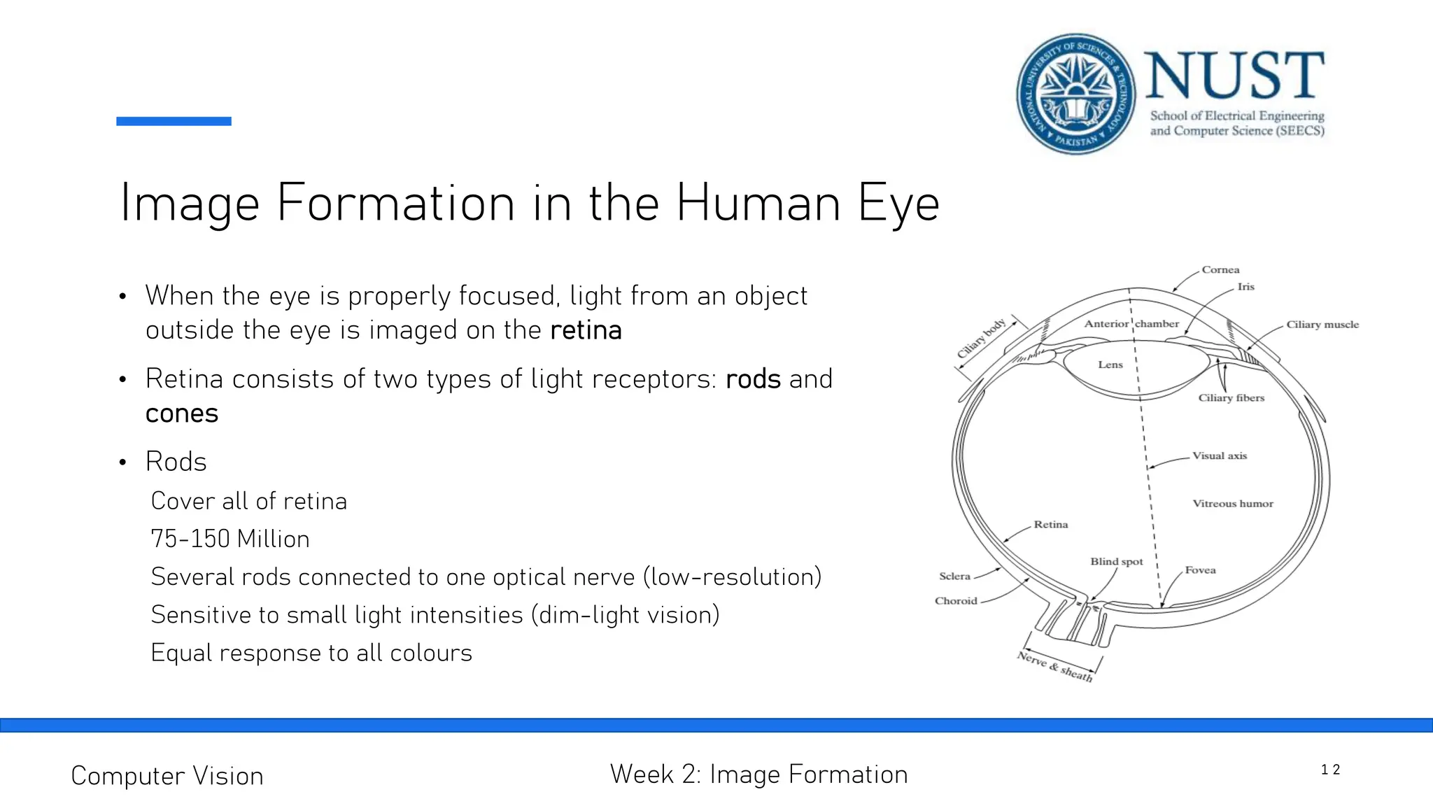 Image Formation in the Human Eye
1 2
Computer Vision Week 2: Image Formation
• When the eye is properly focused, light from an object
outside the eye is imaged on the retina
• Retina consists of two types of light receptors: rods and
cones
• Rods
Cover all of retina
75-150 Million
Several rods connected to one optical nerve (low-resolution)
Sensitive to small light intensities (dim-light vision)
Equal response to all colours
 
