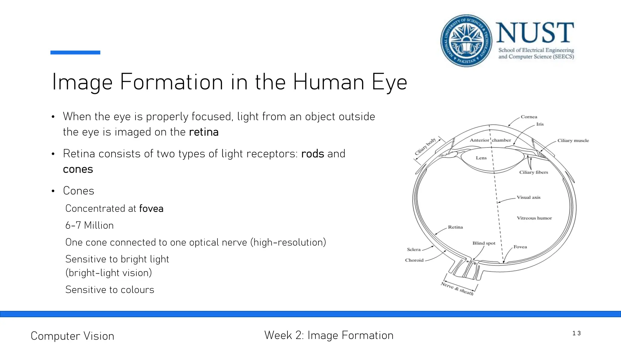 Image Formation in the Human Eye
1 3
Computer Vision Week 2: Image Formation
• When the eye is properly focused, light from an object outside
the eye is imaged on the retina
• Retina consists of two types of light receptors: rods and
cones
• Cones
Concentrated at fovea
6-7 Million
One cone connected to one optical nerve (high-resolution)
Sensitive to bright light
(bright-light vision)
Sensitive to colours
 