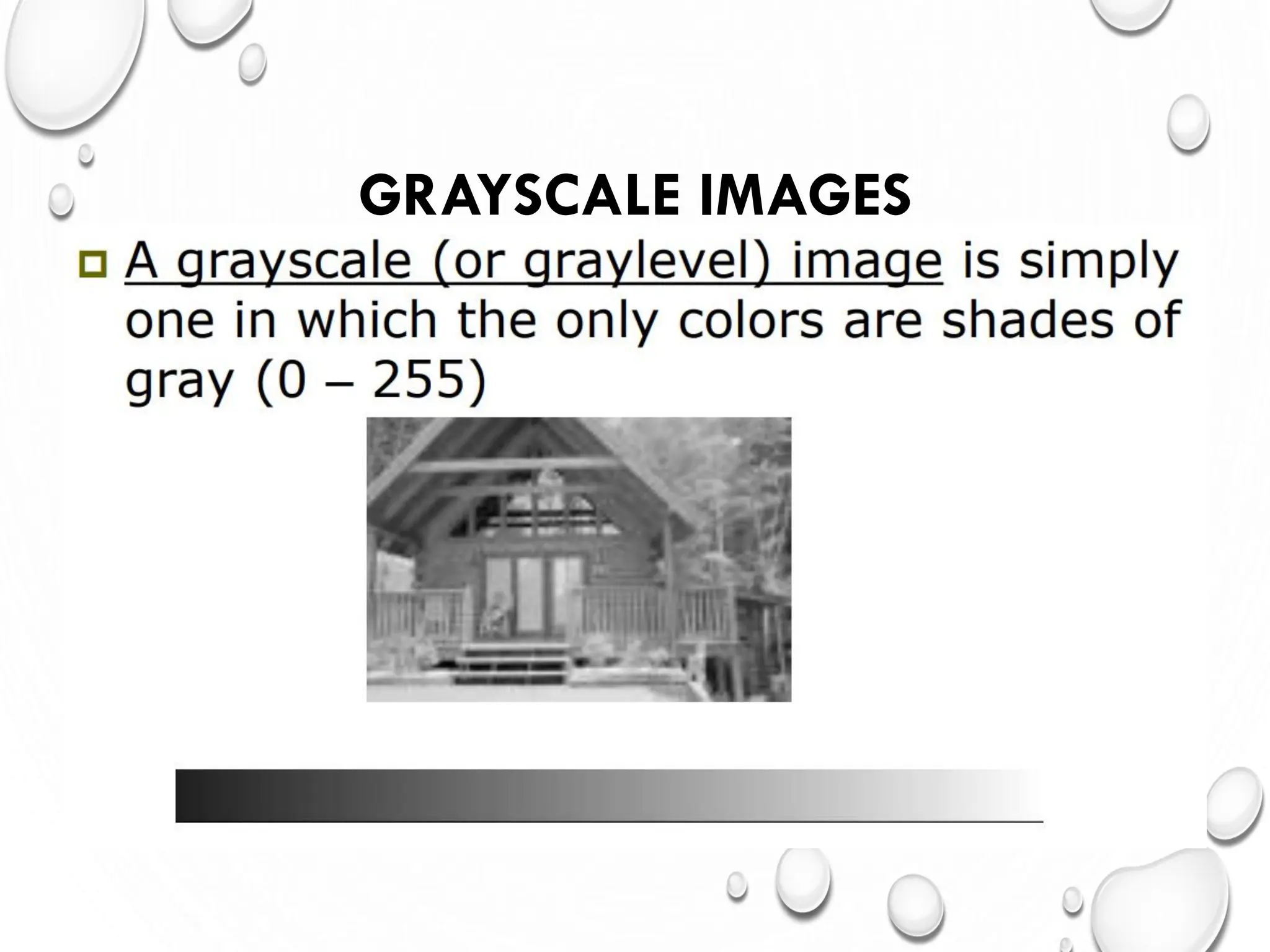 GRAYSCALE IMAGES
 
