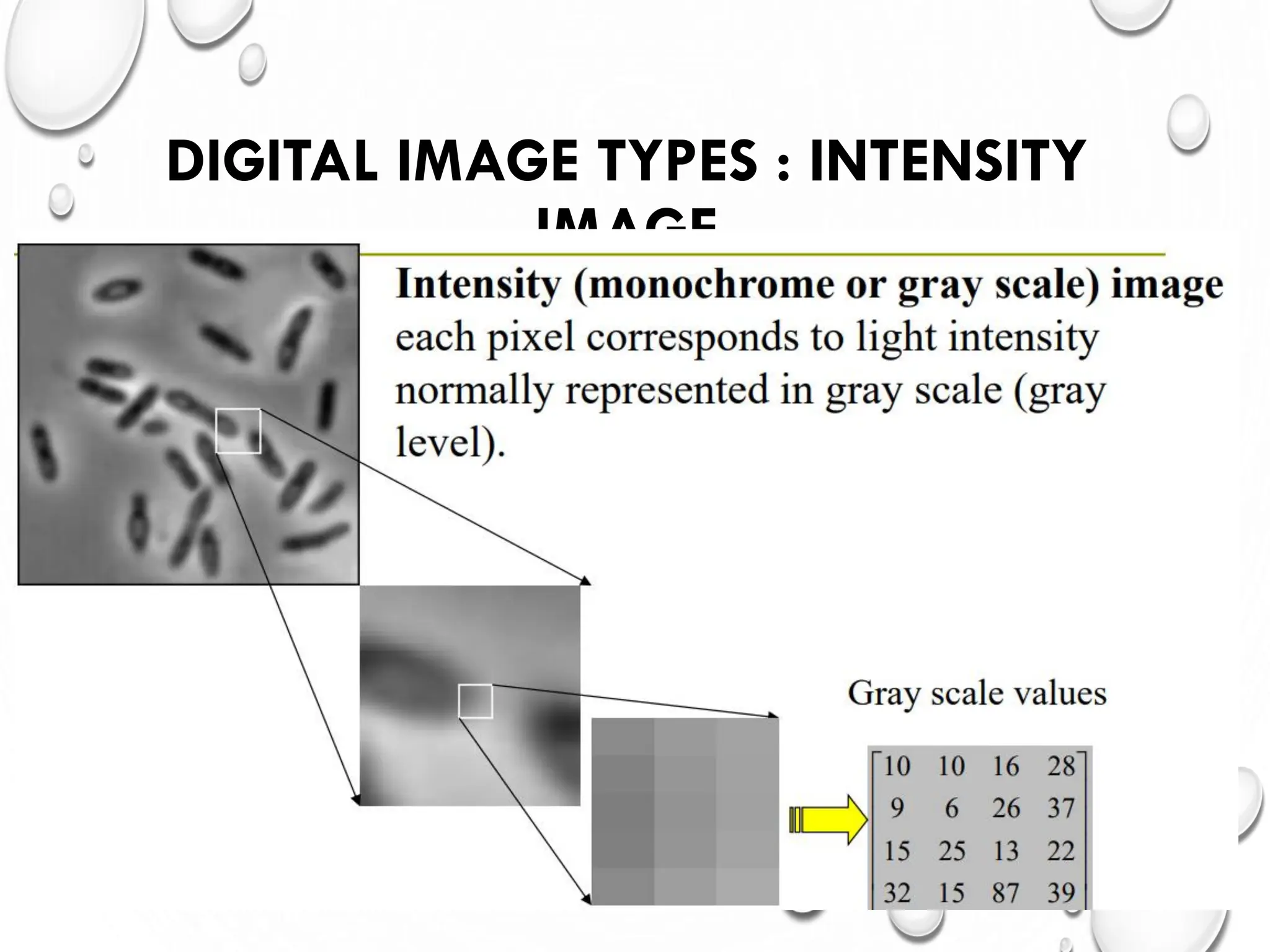 DIGITAL IMAGE TYPES : INTENSITY
IMAGE
 