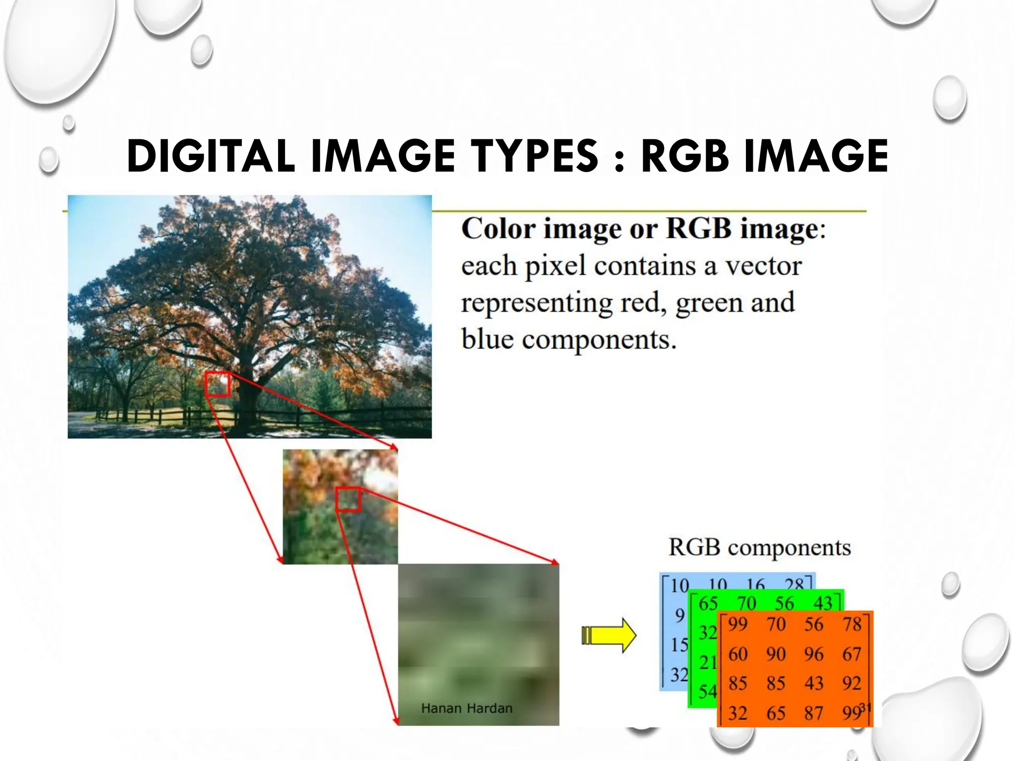 DIGITAL IMAGE TYPES : RGB IMAGE
 