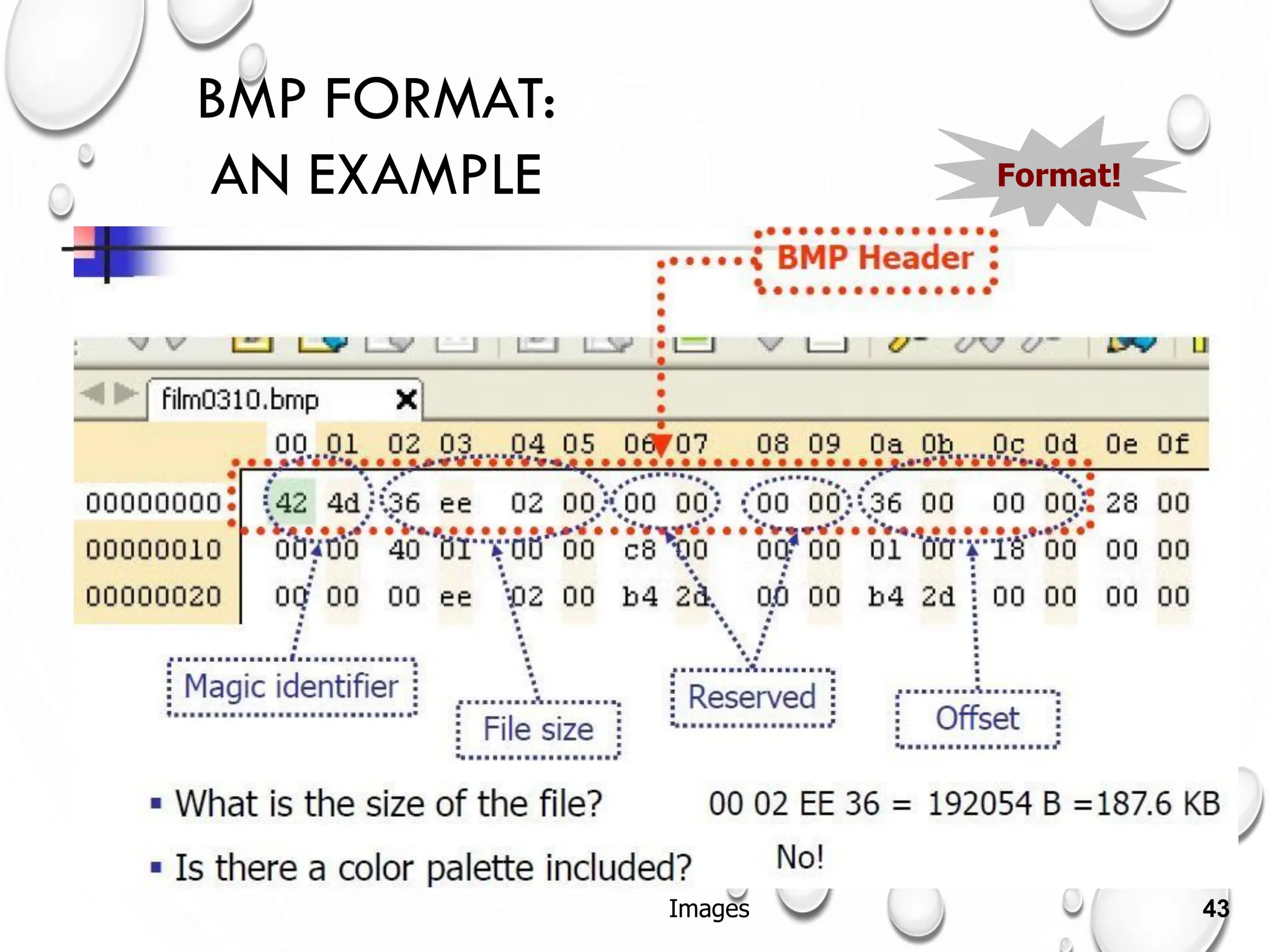 BMP FORMAT:
AN EXAMPLE Format!
Images 43
 