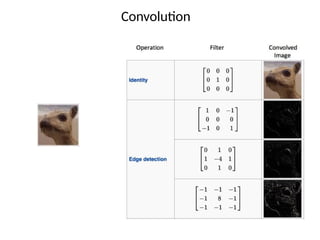 Computer Vision And Convolutional Neural Networks (CNNs) | PPTX