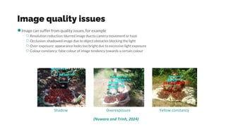 Image quality issues
●Image can suffer from quality issues, for example
○Resolution reduction: blurred image due to camera movement or haze
○Occlusion: shadowed image due to object obstacles blocking the light
○Over-exposure: appearance looks too bright due to excessive light exposure
○Colour constancy: false colour of image tendency towards a certain colour
Shadow Overexposure Yellow constancy
(Nuwara and Trinh, 2024)
 