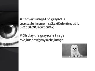 Computer Vision Grayscale Comprehensive Computer Vision Course: Theory, Techniques, and ...