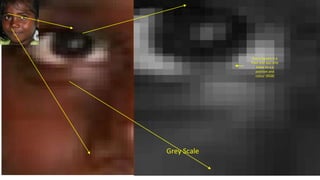 Image Pixels from
distance
20
Colour contains Red Green
Blue components and each
component can have 8 bits
which is 256 resolution
Grey Scale
Every Square is a
Pixel and you only
know its x,y
position and
colour (RGB)
 